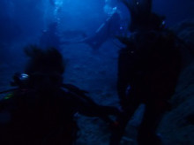 沖縄青の洞窟ダイビングショップ【マリンクラブクレアブログ】