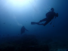 沖縄青の洞窟ダイビングショップ【マリンクラブクレアブログ】