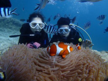 沖縄青の洞窟ダイビングショップ【マリンクラブクレアブログ】