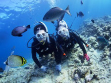 沖縄青の洞窟ダイビングショップ【マリンクラブクレアブログ】