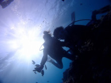 沖縄青の洞窟ダイビングショップ【マリンクラブクレアブログ】