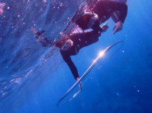 沖縄青の洞窟ダイビングショップ【マリンクラブクレアブログ】