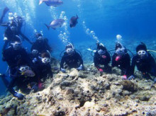 沖縄青の洞窟ダイビングショップ【マリンクラブクレアブログ】