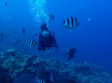 沖縄青の洞窟ダイビングショップ【マリンクラブクレアブログ】