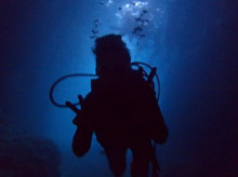 沖縄青の洞窟ダイビングショップ【マリンクラブクレアブログ】