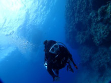 沖縄青の洞窟ダイビングショップ【マリンクラブクレアブログ】