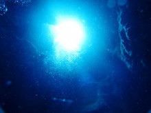 沖縄青の洞窟ダイビングショップ【マリンクラブクレアブログ】