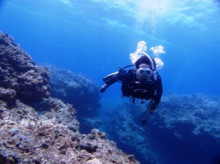 沖縄青の洞窟ダイビングショップ【マリンクラブクレアブログ】