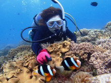 沖縄青の洞窟ダイビングショップ【マリンクラブクレアブログ】