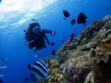 沖縄青の洞窟ダイビングショップ【マリンクラブクレアブログ】