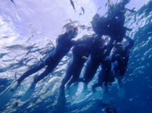 沖縄青の洞窟ダイビングショップ【マリンクラブクレアブログ】