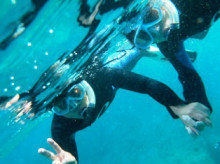 沖縄青の洞窟ダイビングショップ【マリンクラブクレアブログ】