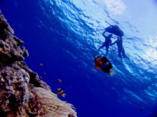 沖縄青の洞窟ダイビングショップ【マリンクラブクレアブログ】