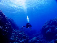 沖縄青の洞窟ダイビングショップ【マリンクラブクレアブログ】