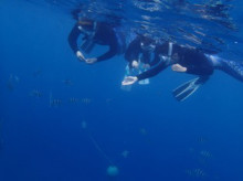 沖縄青の洞窟ダイビングショップ【マリンクラブクレアブログ】