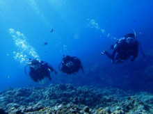 沖縄青の洞窟ダイビングショップ【マリンクラブクレアブログ】