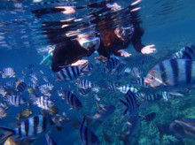 沖縄青の洞窟ダイビングショップ【マリンクラブクレアブログ】