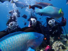 沖縄青の洞窟ダイビングショップ【マリンクラブクレアブログ】