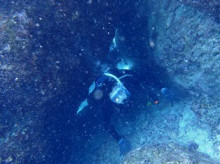 沖縄青の洞窟ダイビングショップ【マリンクラブクレアブログ】