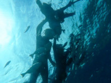 沖縄青の洞窟ダイビングショップ【マリンクラブクレアブログ】