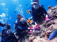 沖縄青の洞窟ダイビングショップ【マリンクラブクレアブログ】