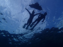 沖縄青の洞窟ダイビングショップ【マリンクラブクレアブログ】