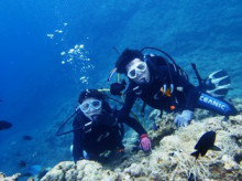 沖縄青の洞窟ダイビングショップ【マリンクラブクレアブログ】