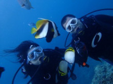 沖縄青の洞窟ダイビングショップ【マリンクラブクレアブログ】