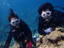 沖縄青の洞窟ダイビングショップ【マリンクラブクレアブログ】