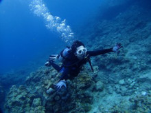 沖縄青の洞窟ダイビングショップ【マリンクラブクレアブログ】