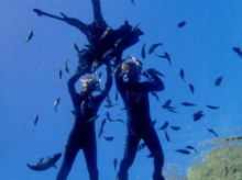 沖縄青の洞窟ダイビングショップ【マリンクラブクレアブログ】