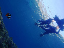 沖縄青の洞窟ダイビングショップ【マリンクラブクレアブログ】