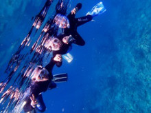 沖縄青の洞窟ダイビングショップ【マリンクラブクレアブログ】