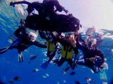 沖縄青の洞窟ダイビングショップ【マリンクラブクレアブログ】