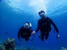 沖縄青の洞窟ダイビングショップ【マリンクラブクレアブログ】