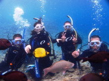 沖縄青の洞窟ダイビングショップ【マリンクラブクレアブログ】