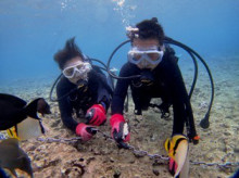 沖縄青の洞窟ダイビングショップ【マリンクラブクレアブログ】