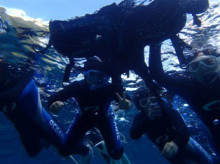 沖縄青の洞窟ダイビングショップ【マリンクラブクレアブログ】