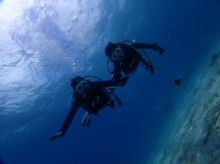 沖縄青の洞窟ダイビングショップ【マリンクラブクレアブログ】