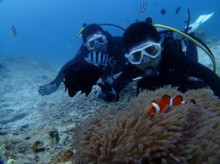 沖縄青の洞窟ダイビングショップ【マリンクラブクレアブログ】