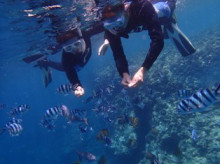 沖縄青の洞窟ダイビングショップ【マリンクラブクレアブログ】