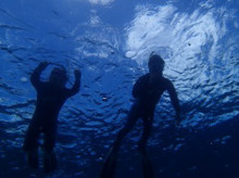 沖縄青の洞窟ダイビングショップ【マリンクラブクレアブログ】