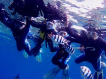 沖縄青の洞窟ダイビングショップ【マリンクラブクレアブログ】