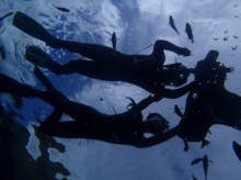 沖縄青の洞窟ダイビングショップ【マリンクラブクレアブログ】