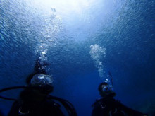 沖縄青の洞窟ダイビングショップ【マリンクラブクレアブログ】