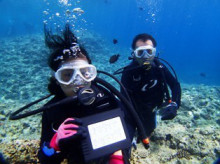 沖縄青の洞窟ダイビングショップ【マリンクラブクレアブログ】