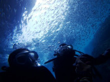 沖縄青の洞窟ダイビングショップ【マリンクラブクレアブログ】