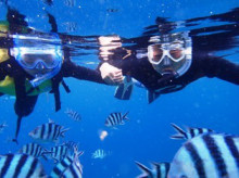 沖縄青の洞窟ダイビングショップ【マリンクラブクレアブログ】