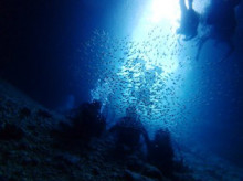 沖縄青の洞窟ダイビングショップ【マリンクラブクレアブログ】