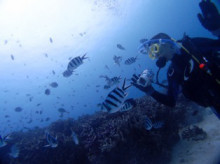 沖縄青の洞窟ダイビングショップ【マリンクラブクレアブログ】